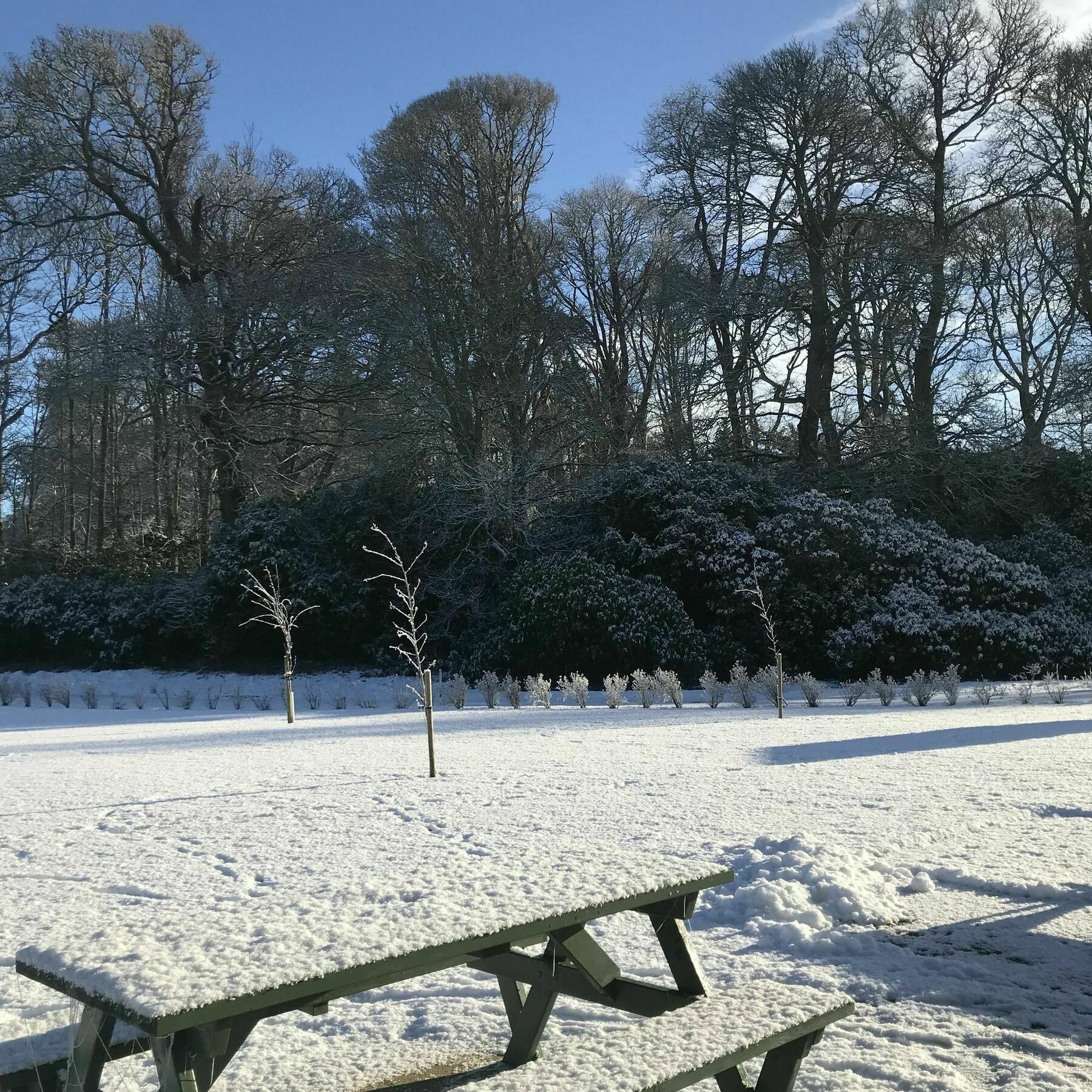 The Lodge At Perth Racecourse エクステリア 写真